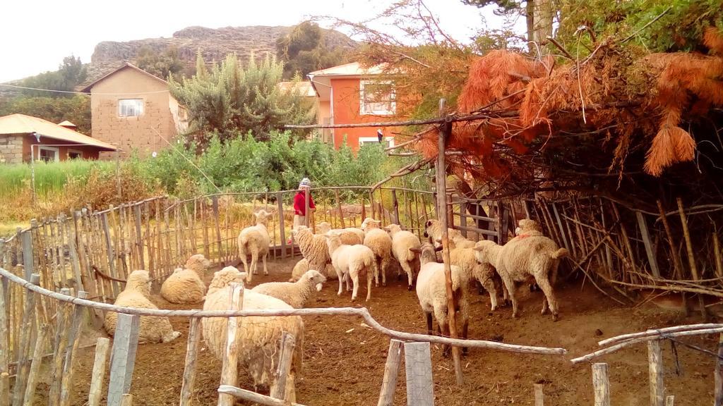 Casa Titicaca Amantani Hotell Ocosuyo Exteriör bild